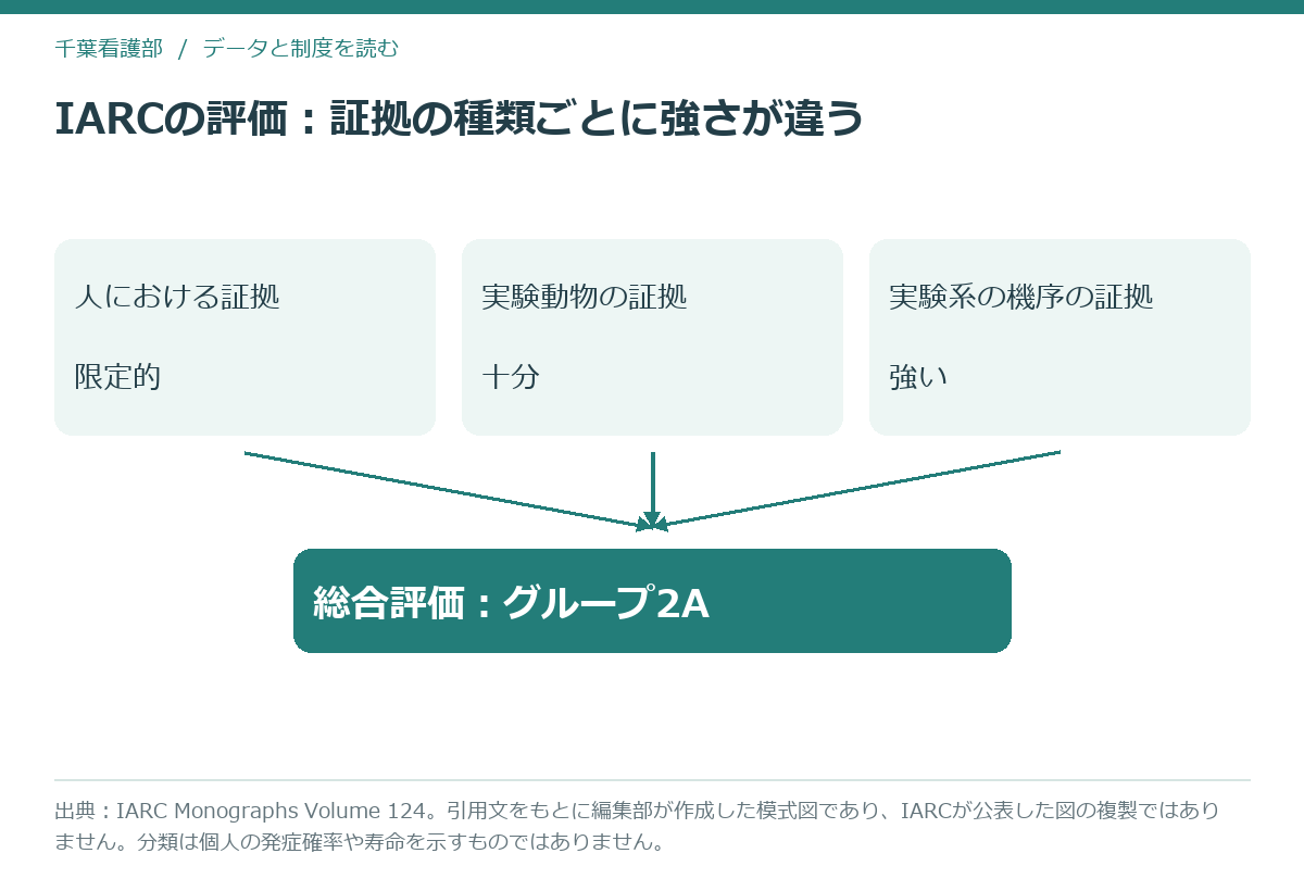 夜勤労働の発がん性評価で、人・実験動物・実験系の3つの証拠が別々の強さで評価されていることを示す模式図