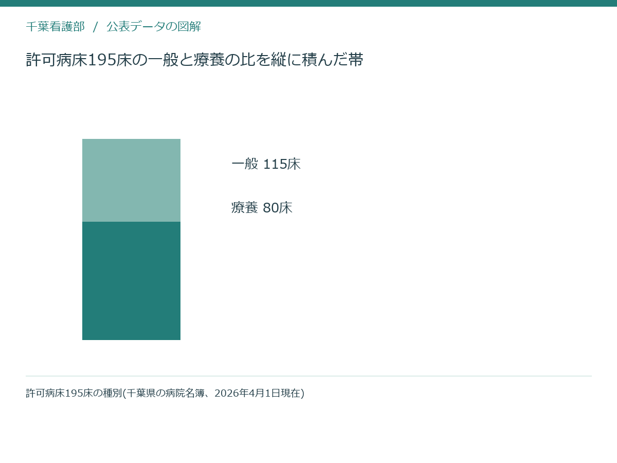 許可病床195床の一般と療養の比を縦に積んだ帯