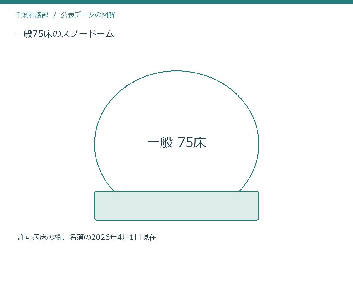 一般75床のスノードーム