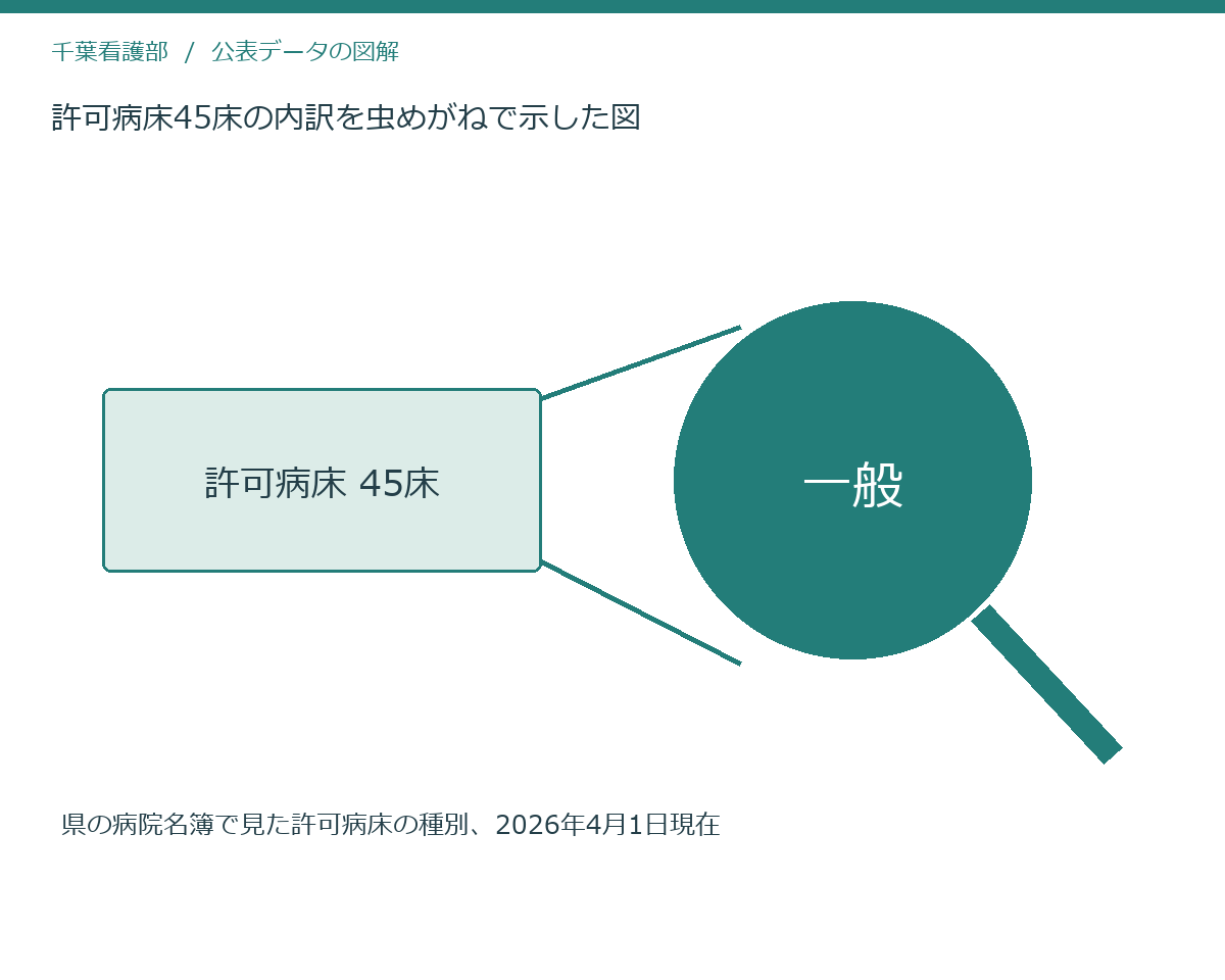 許可病床45床の内訳を虫めがねで示した図