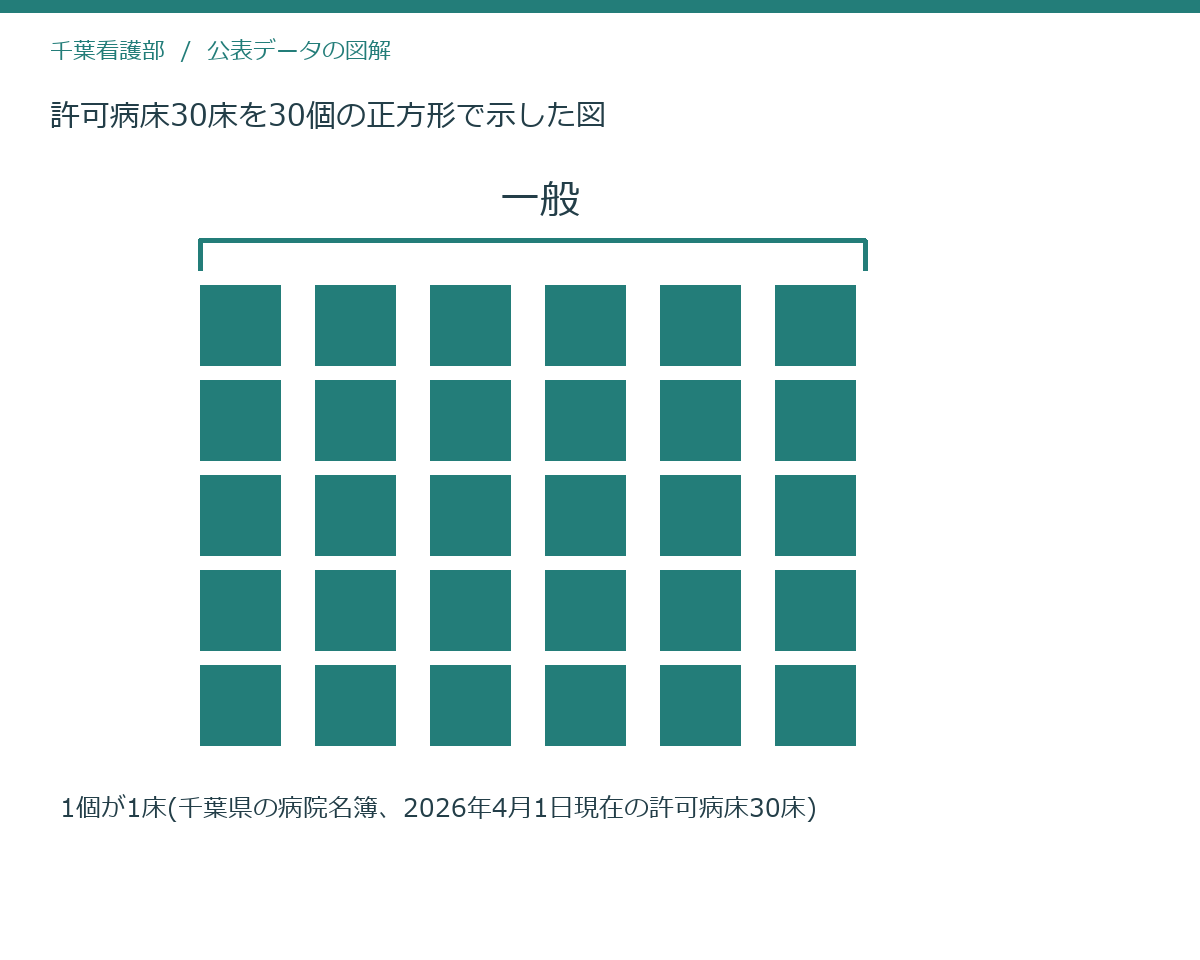 許可病床30床を30個の正方形で示した図