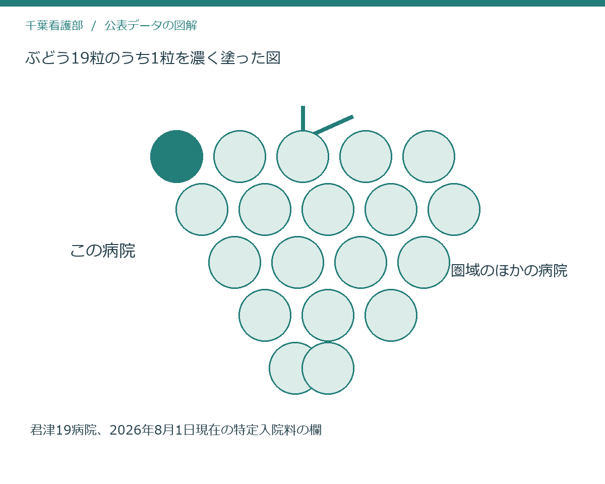 ぶどう19粒のうち1粒を濃く塗った図